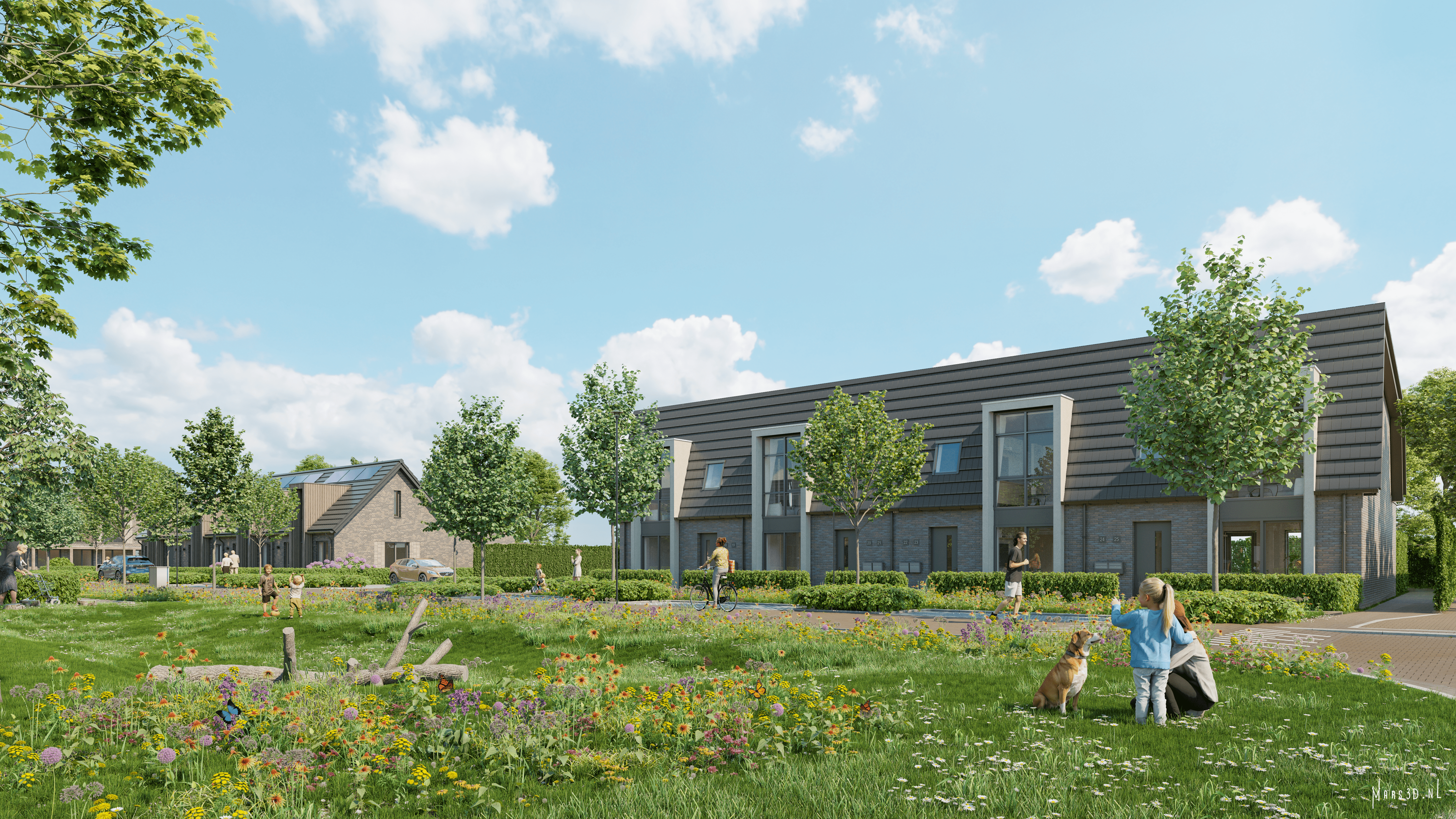 Kreeft_Paardenwei_Sfeer II_AD-min